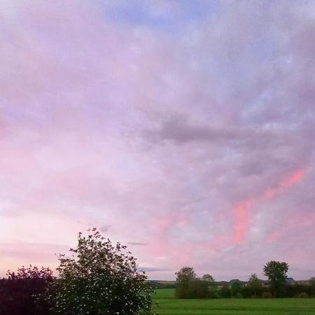 Privatzimmer Mit Aussicht Pirna Zewnętrze zdjęcie