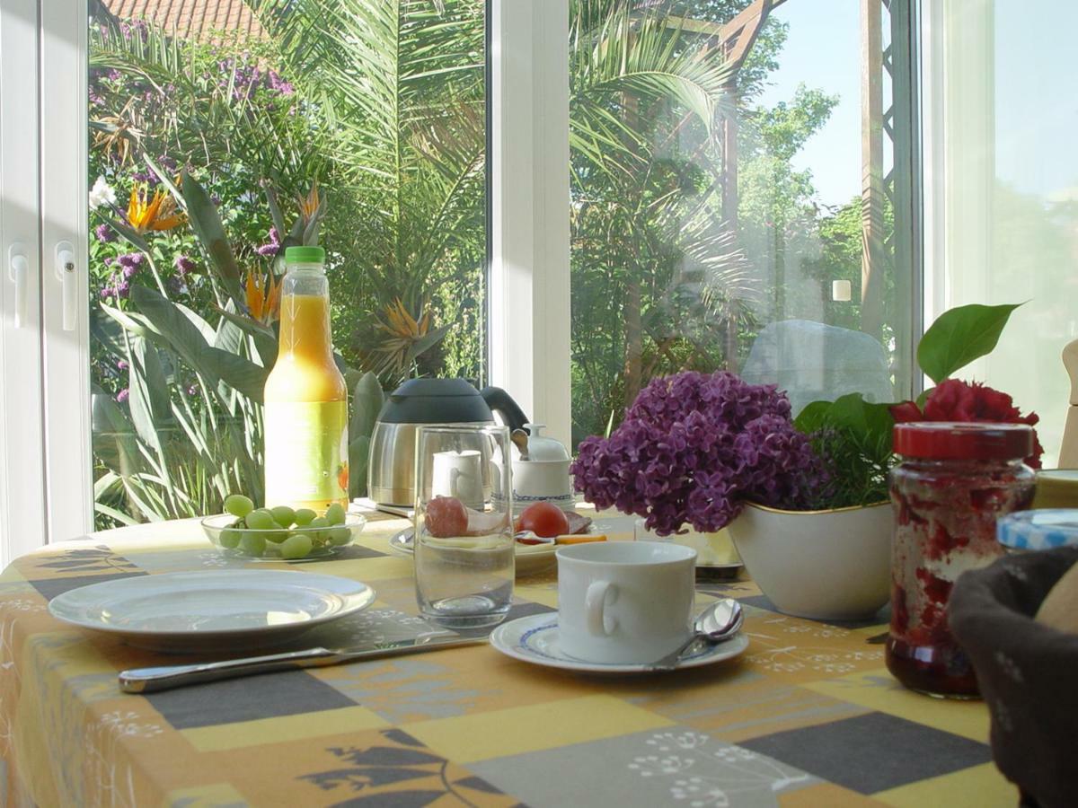 Privatzimmer Mit Aussicht Pirna Zewnętrze zdjęcie